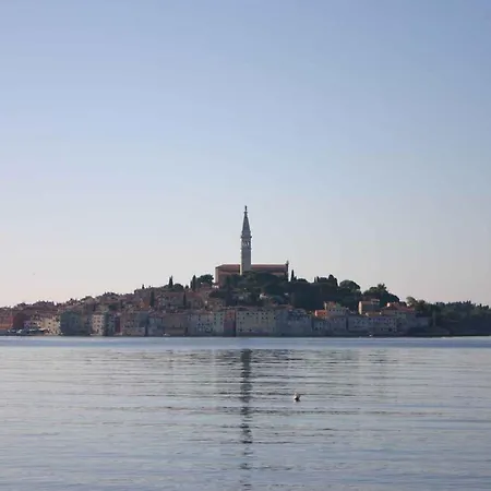아파트 In Rovinj/istrien 11491 *