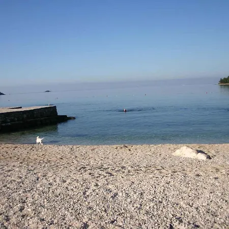 아파트 In Rovinj/istrien 11491 로비니